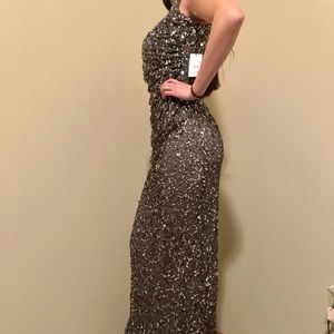 Silver/brown Sequin Dress